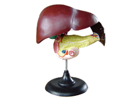 SD-093 33216ʮ֬cKģ